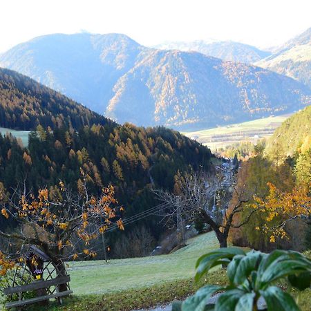 프라인펠트 Martlerhof Urlaub Auf Dem Bauernhof 아파트 외부 사진